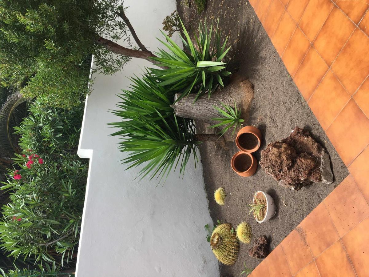 Apartamento Con Jardin Y Piscina B Πουέρτο Ντε Λα Κρουζ Εξωτερικό φωτογραφία